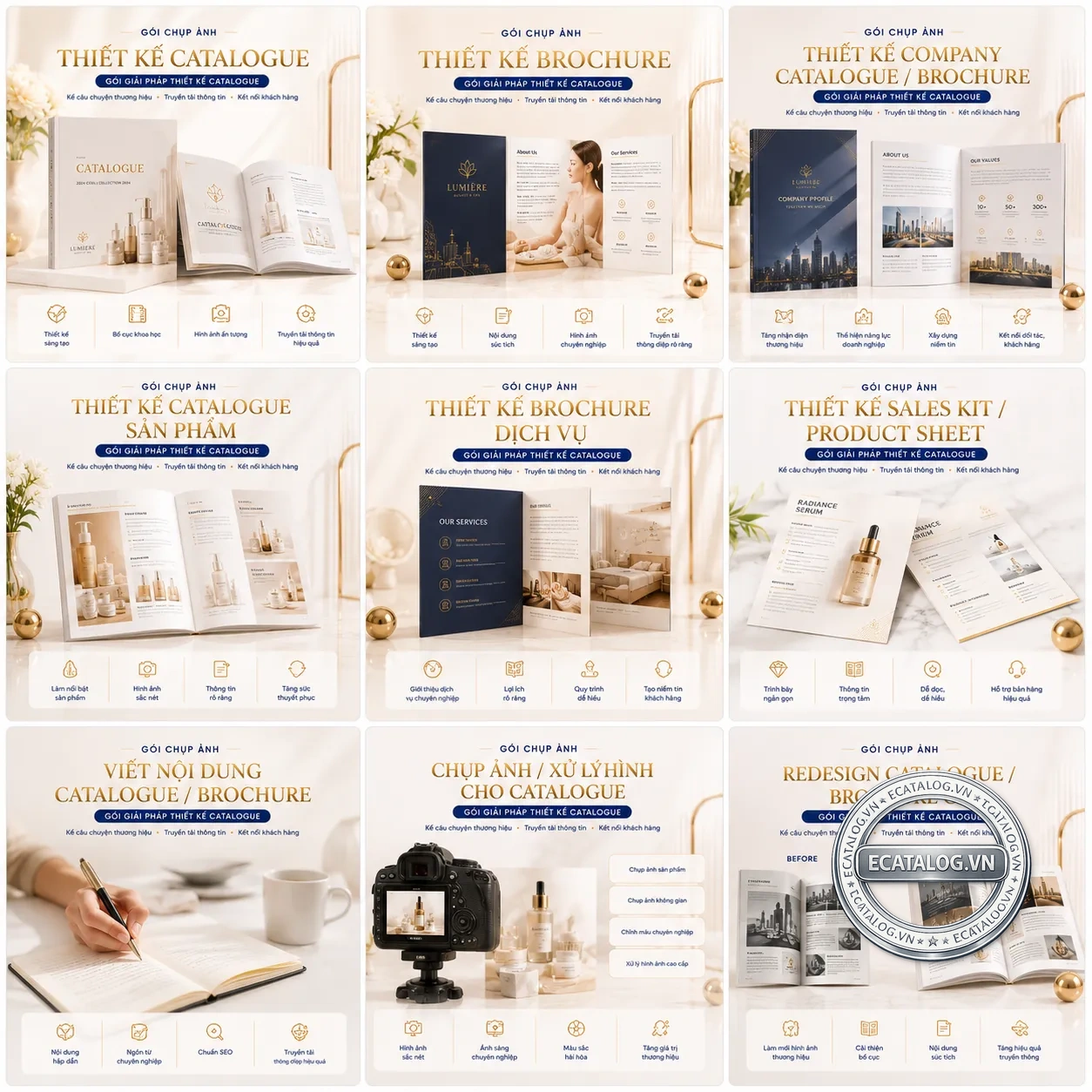 Thiết kế catalogue brochure